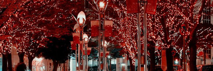 soigne_ater's profile banner image