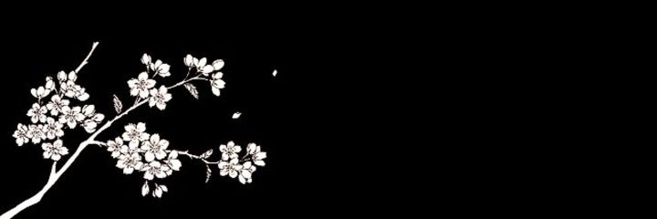 Bokrhnltqi's profile banner image