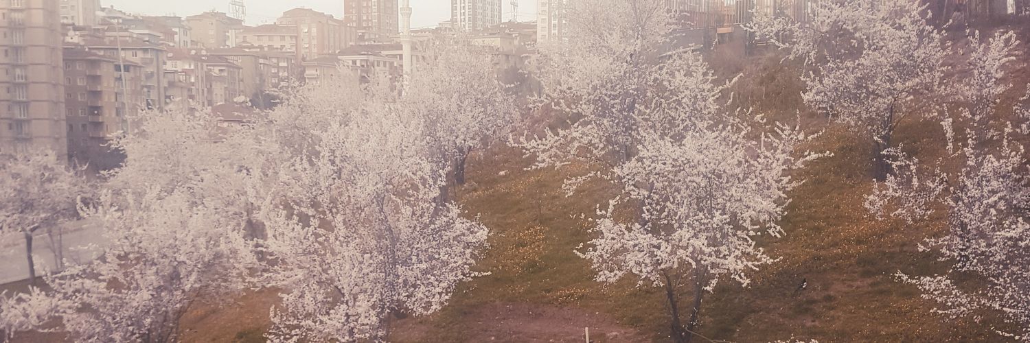 BBaytimur's profile banner image