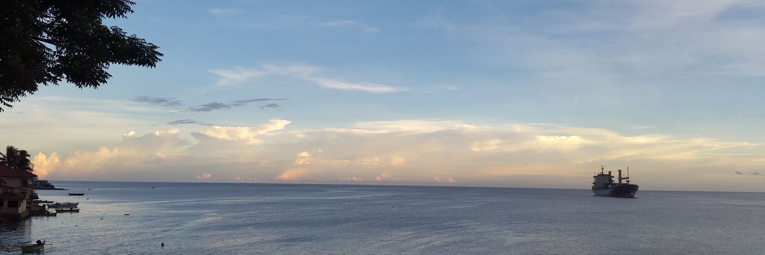 spinslikeTaz's profile banner image