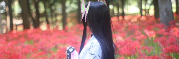 tshphp Profile Banner