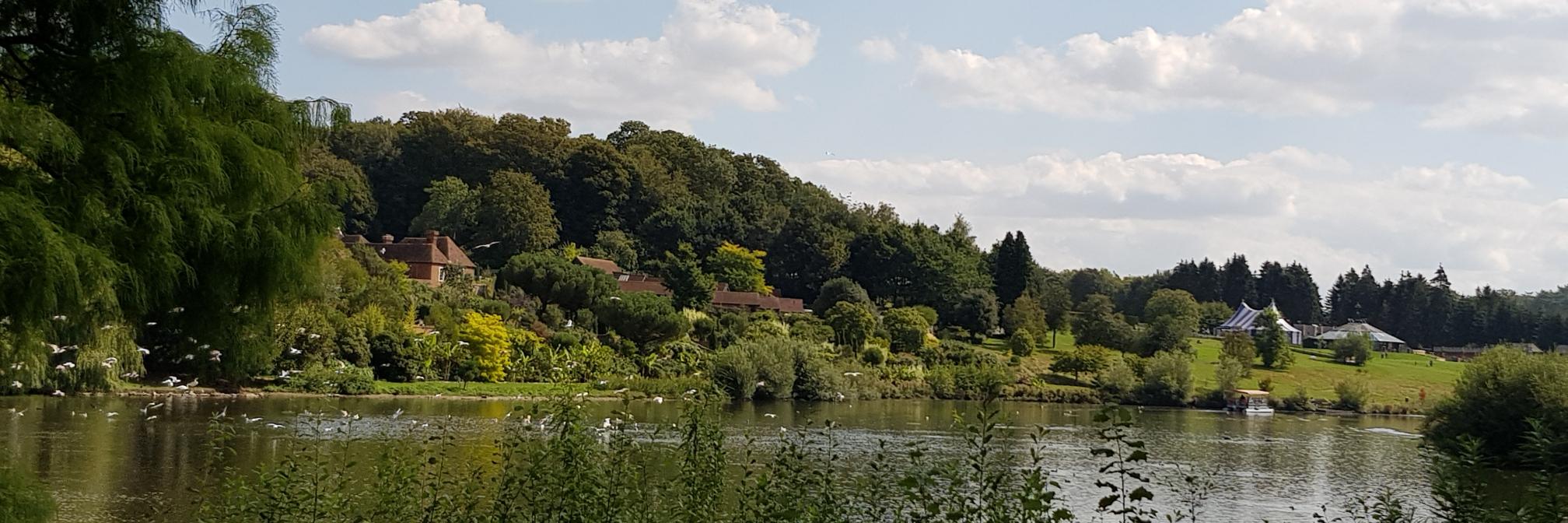 Tess Fenn FAPharmT 💙 banner