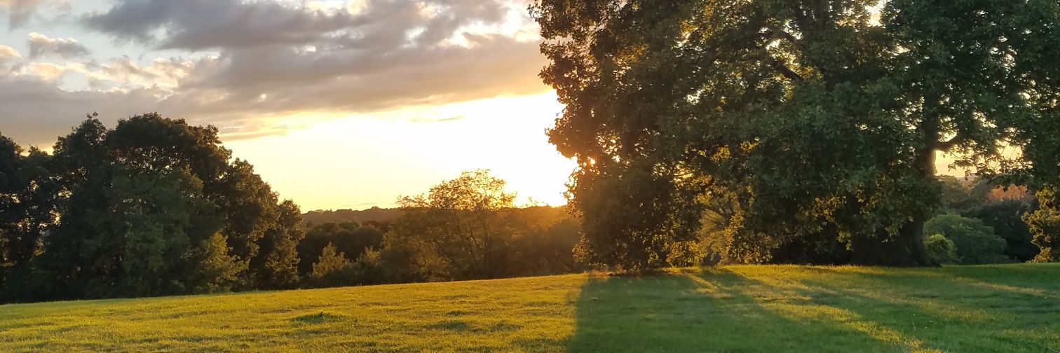DannyMo13's profile banner image