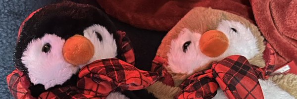 penguinpunk Profile Banner