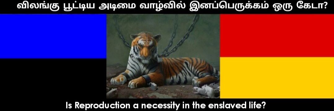 TAntinatalism's profile banner image