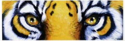 CoachSMoss's profile banner image