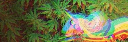 MaaLee11's profile banner image
