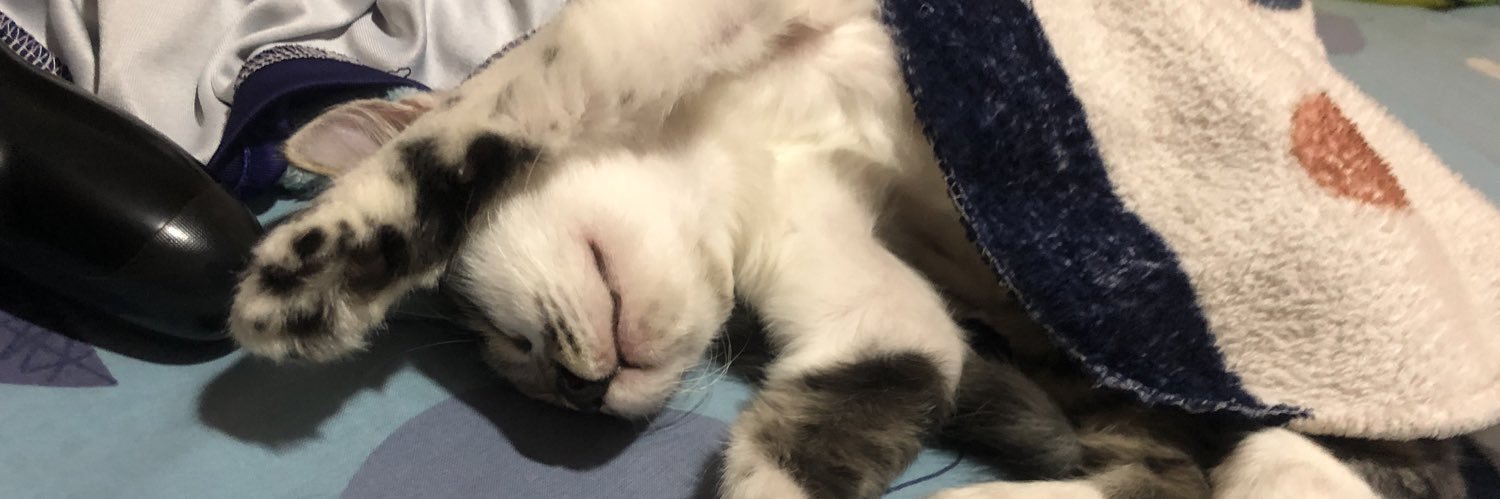Elianmarcilloo's profile banner image