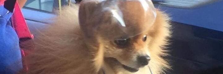 xtediox_'s profile banner image
