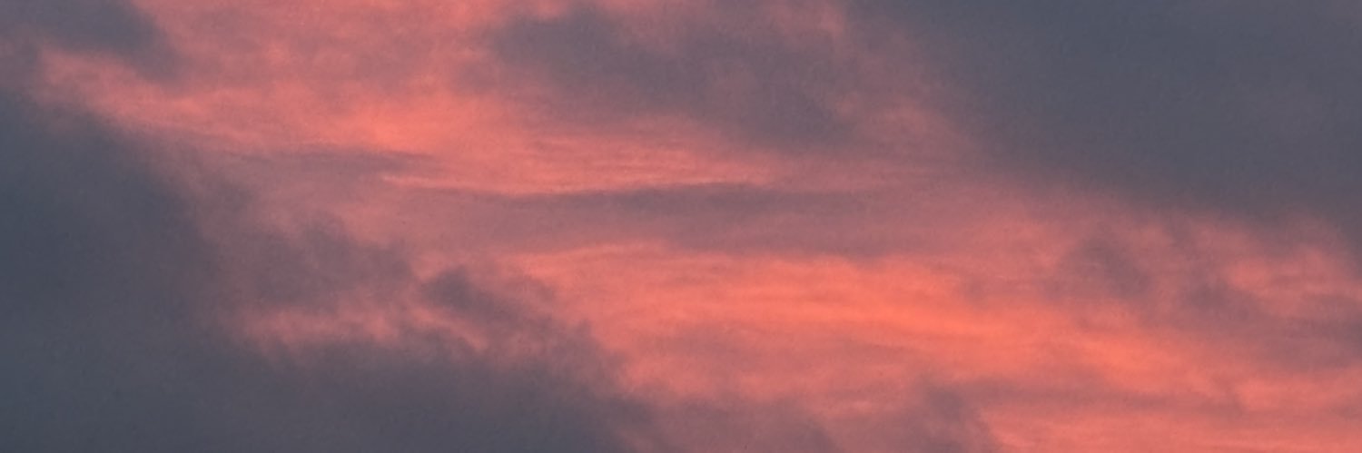 lavidaeschulx's profile banner image