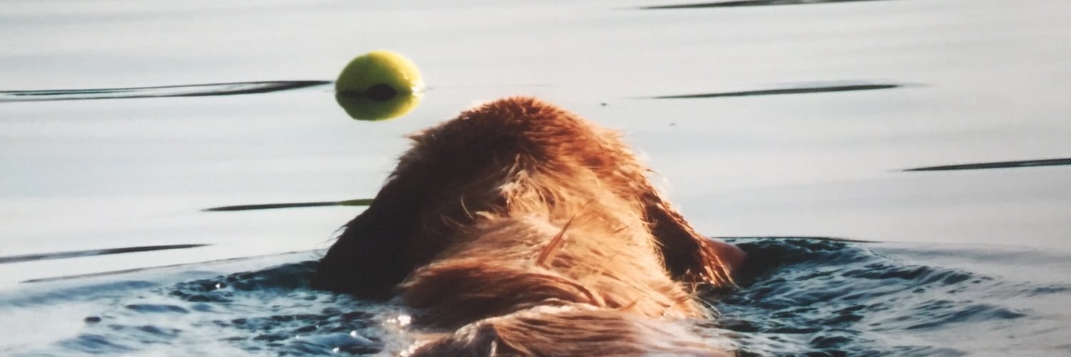 lisabaldi's profile banner image