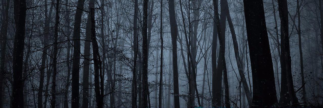 SilentChannel banner