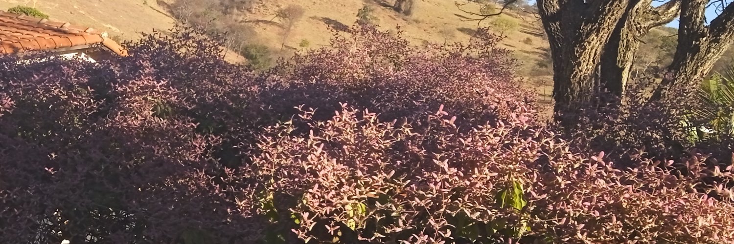 Jonata de Gehenna 🫀 banner