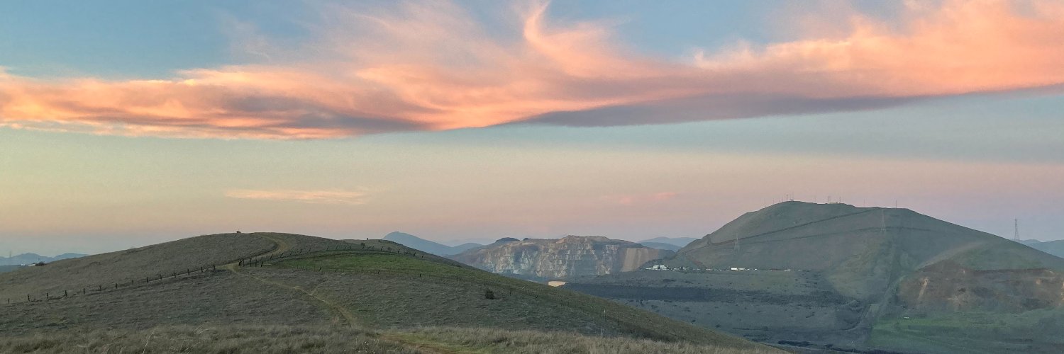 Rosalie McDonough banner