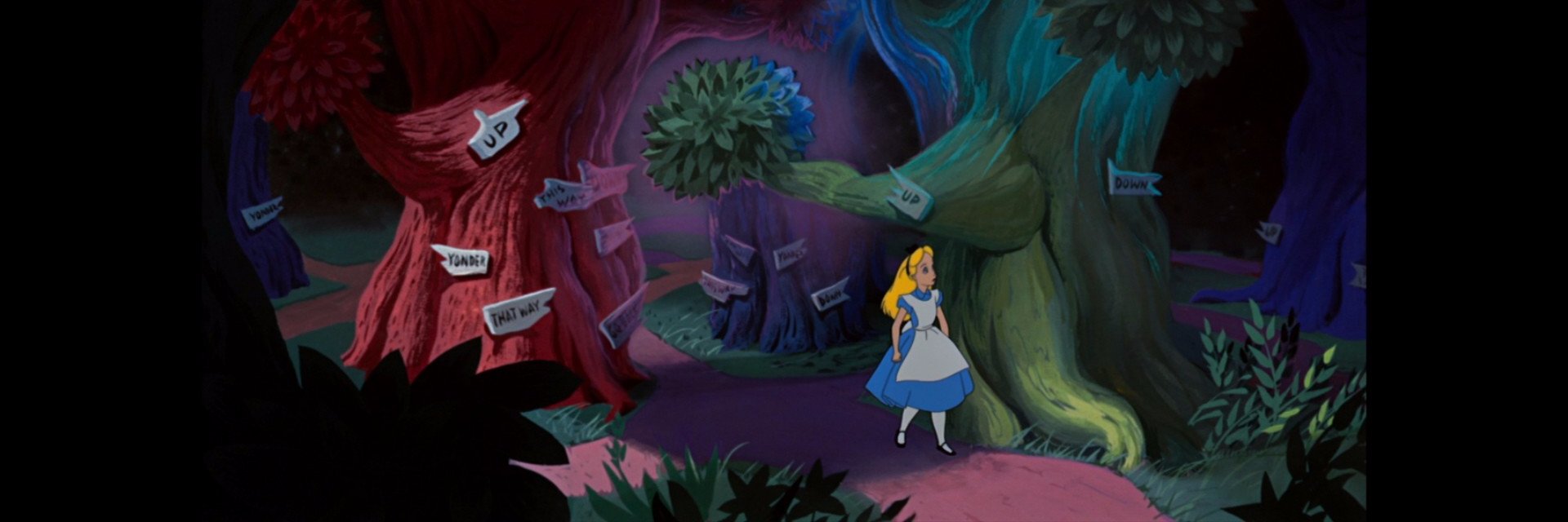 Aliilala's profile banner image