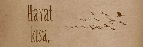 coruhezgi's profile banner image