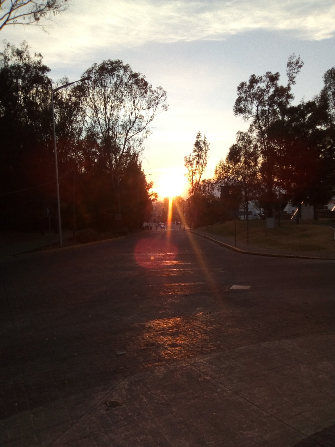 Gil R. Fiallo banner