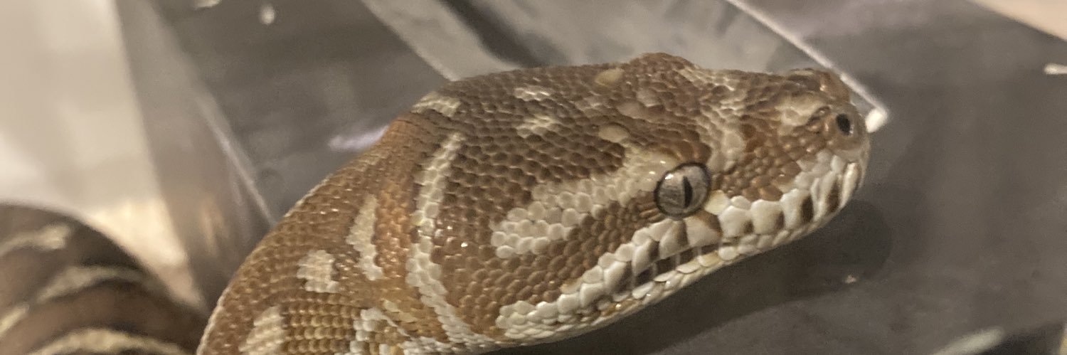 けんじふぁすま banner