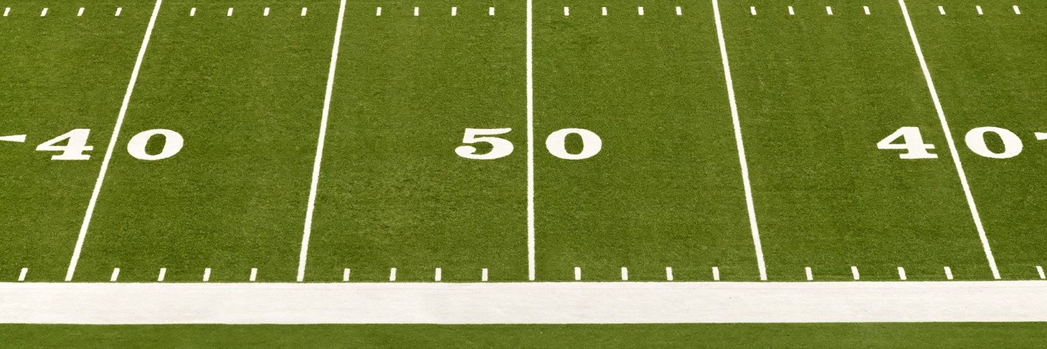 Unnecessary Roughness banner