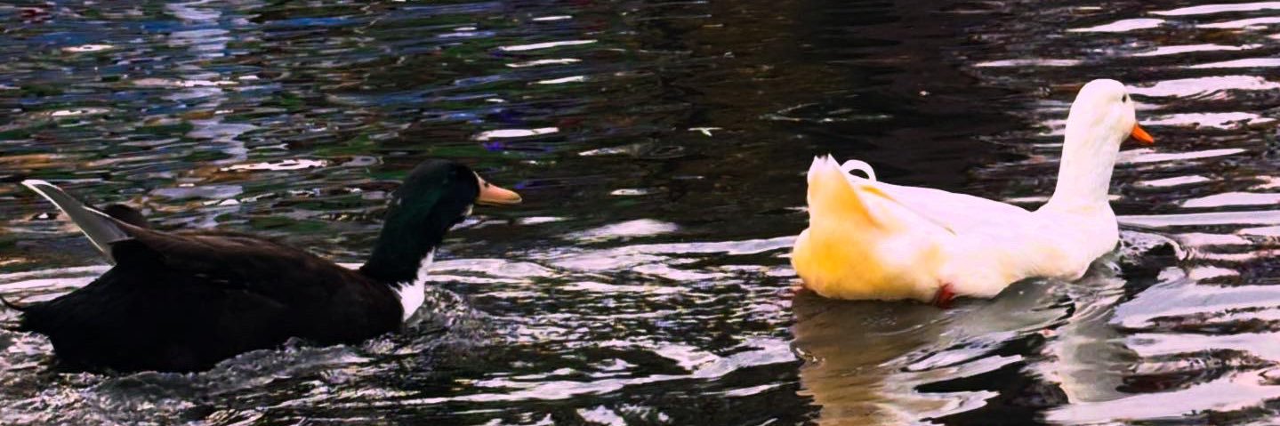 Hierba Mala 🌱 banner