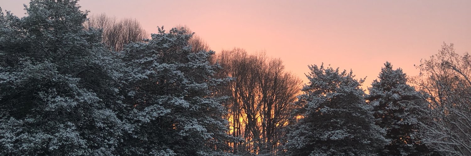 bbpebblez's profile banner image