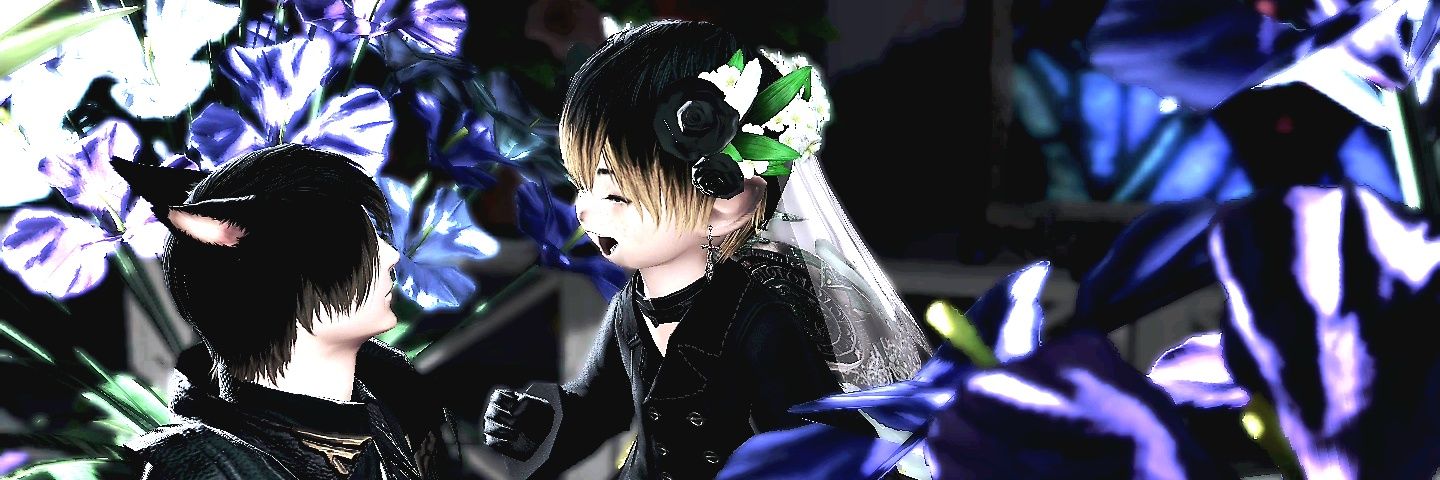 ૮₍ ๑・×・๑ ₎ა banner