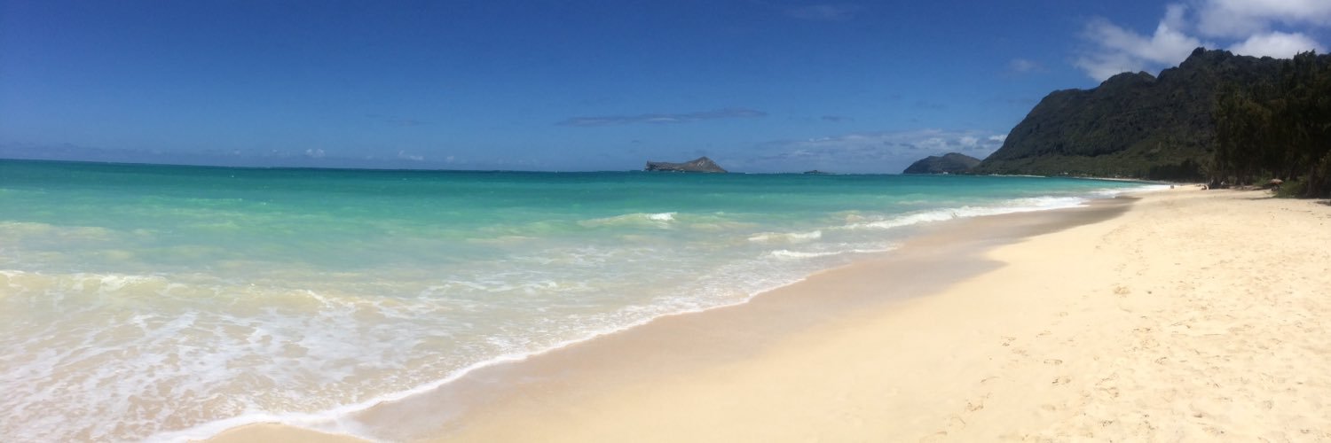 nataysha808's profile banner image