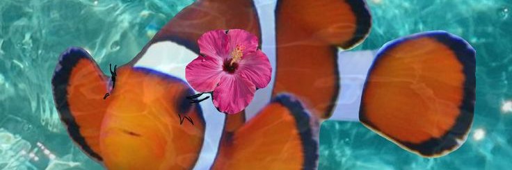 YourMildaaaa's profile banner image