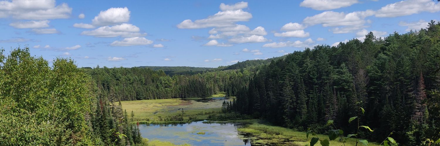 Mathepan Mahendralingam banner