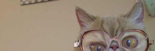 MarieBrightmore's profile banner image