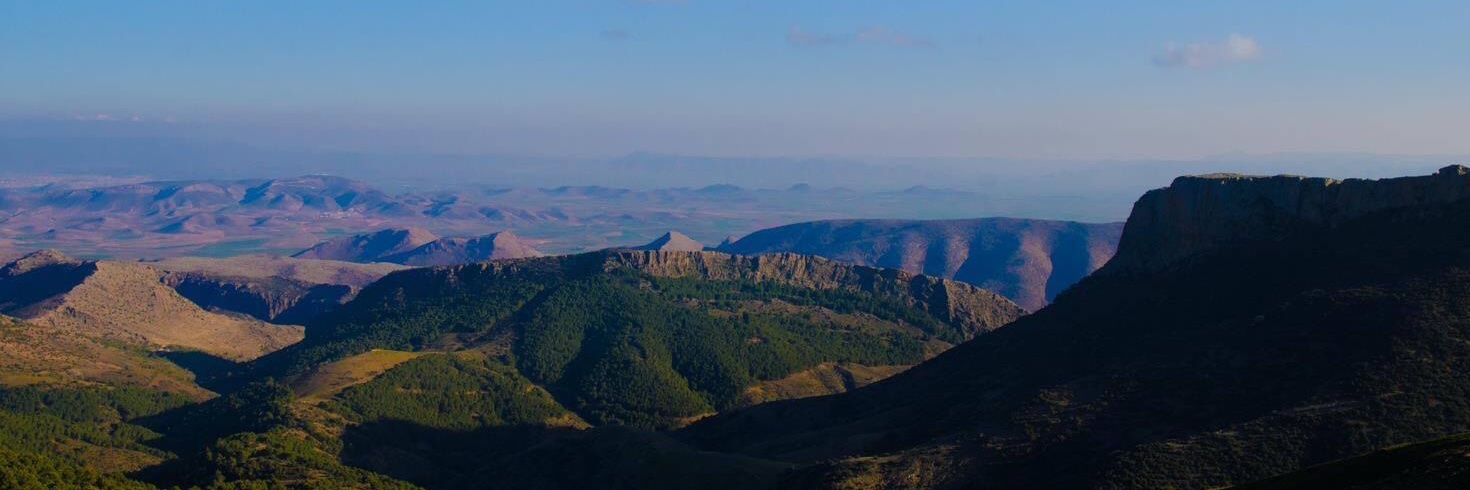 L'Oriental Marocain ۞ banner
