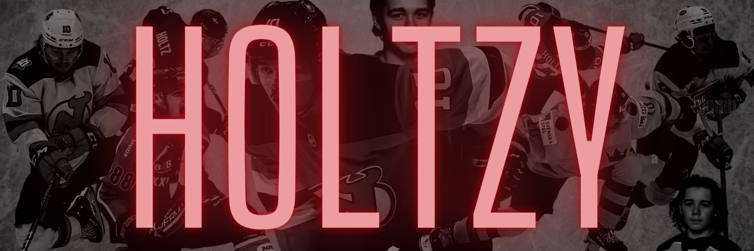 Holtzy banner