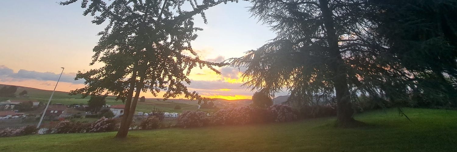 marianefege's profile banner image