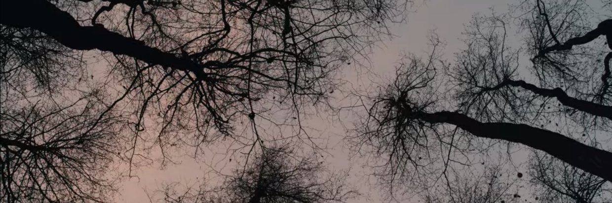 wowsoboring_'s profile banner image