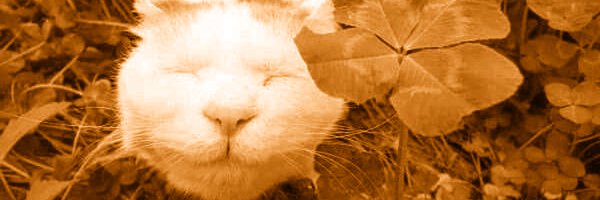 pepie_21 Profile Banner