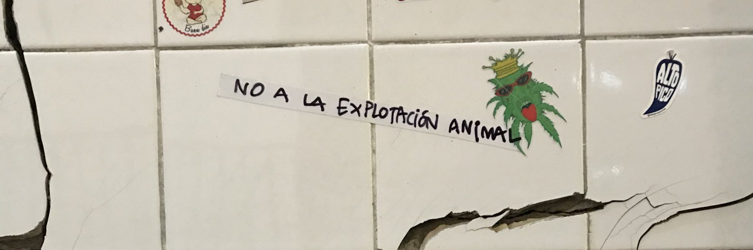Juanaspirito's profile banner image
