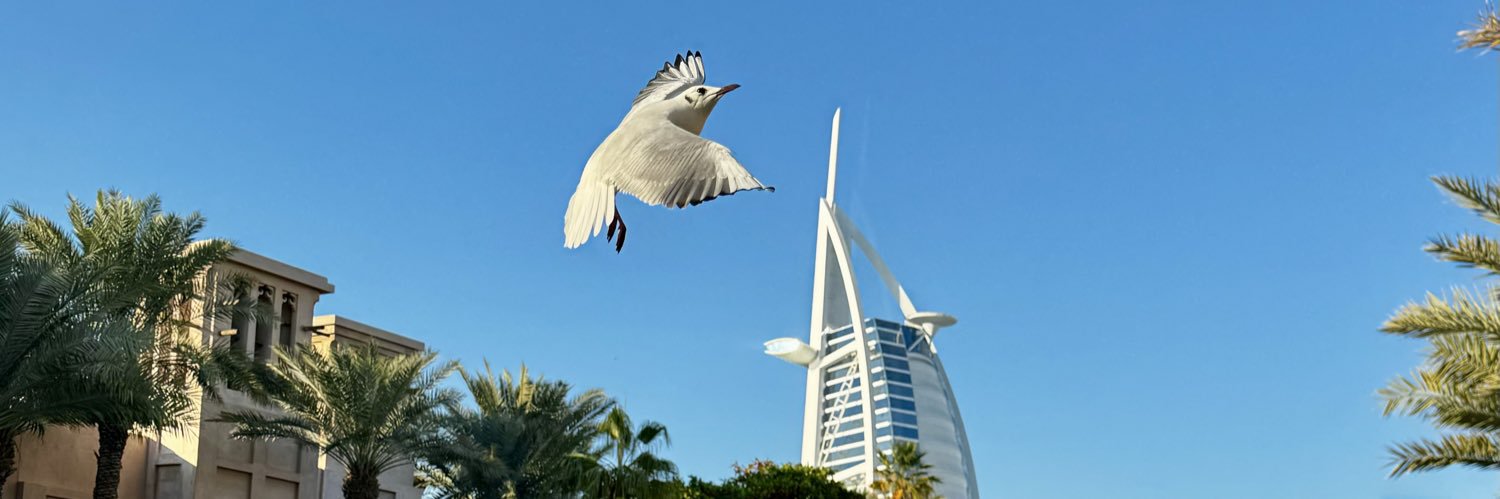 _Duhaa's profile banner image