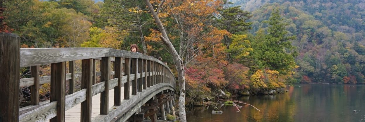 Sharon Dong | 董惠珊 banner