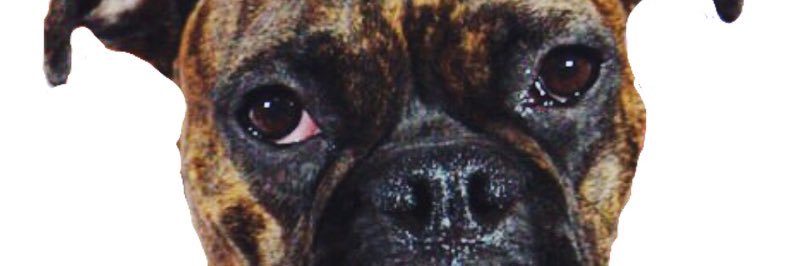 adnarimgnz's profile banner image