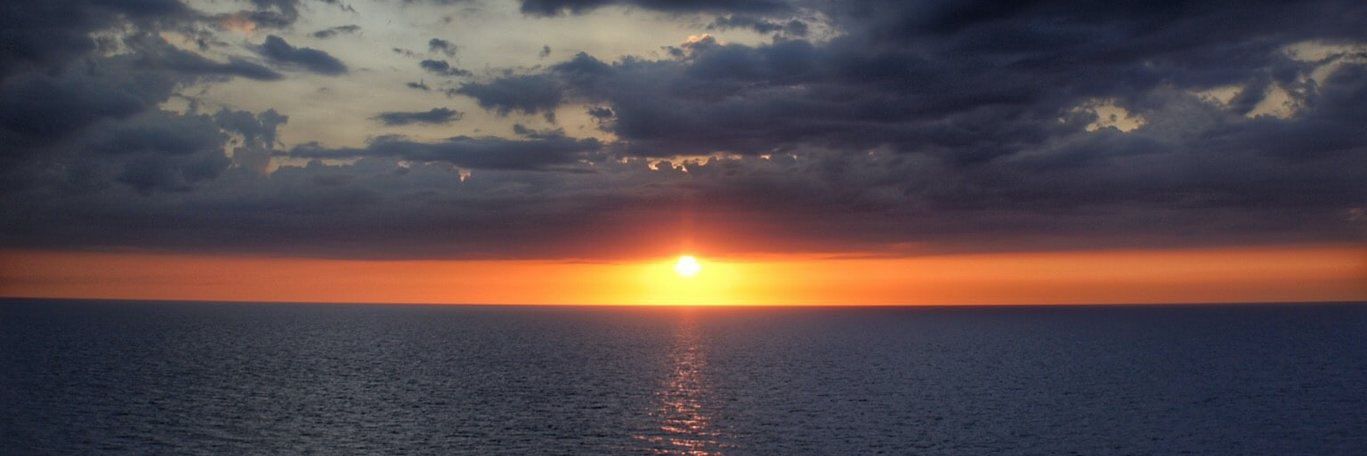 burcinsuerr's profile banner image