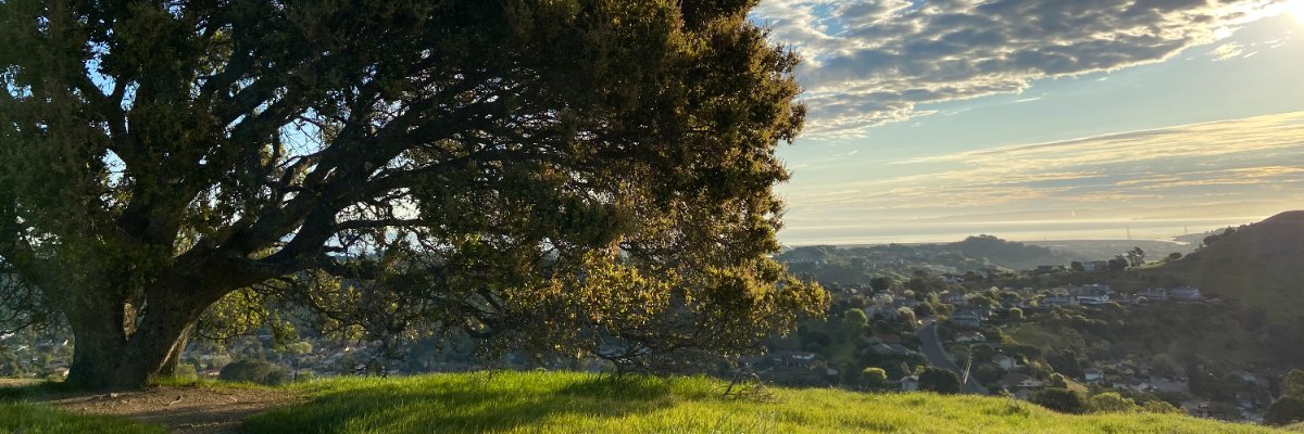 PhryGuy's profile banner image