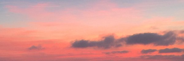 LynMusician Profile Banner
