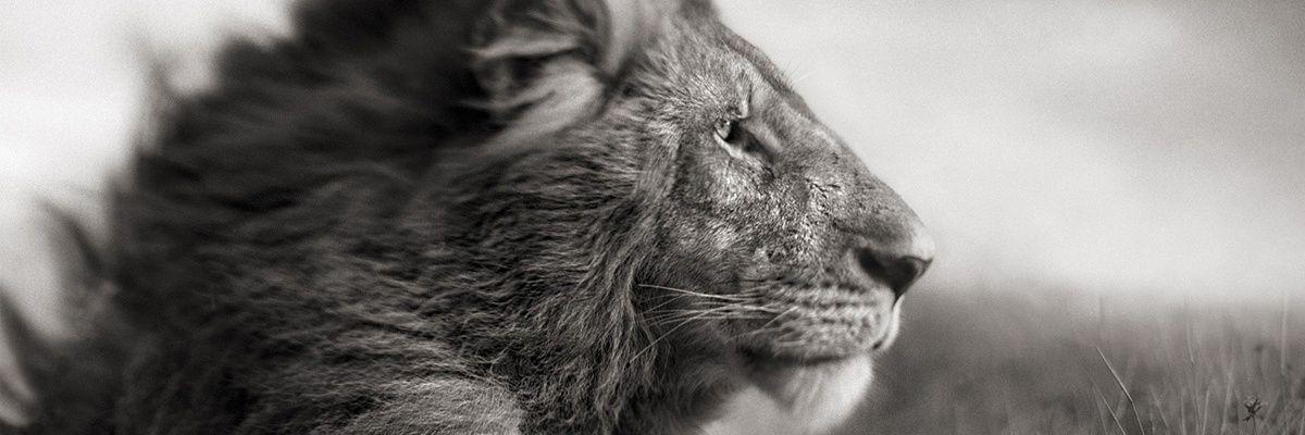 sergio91010's profile banner image