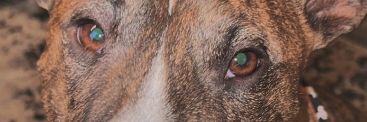 Cameron_K_J18's profile banner image