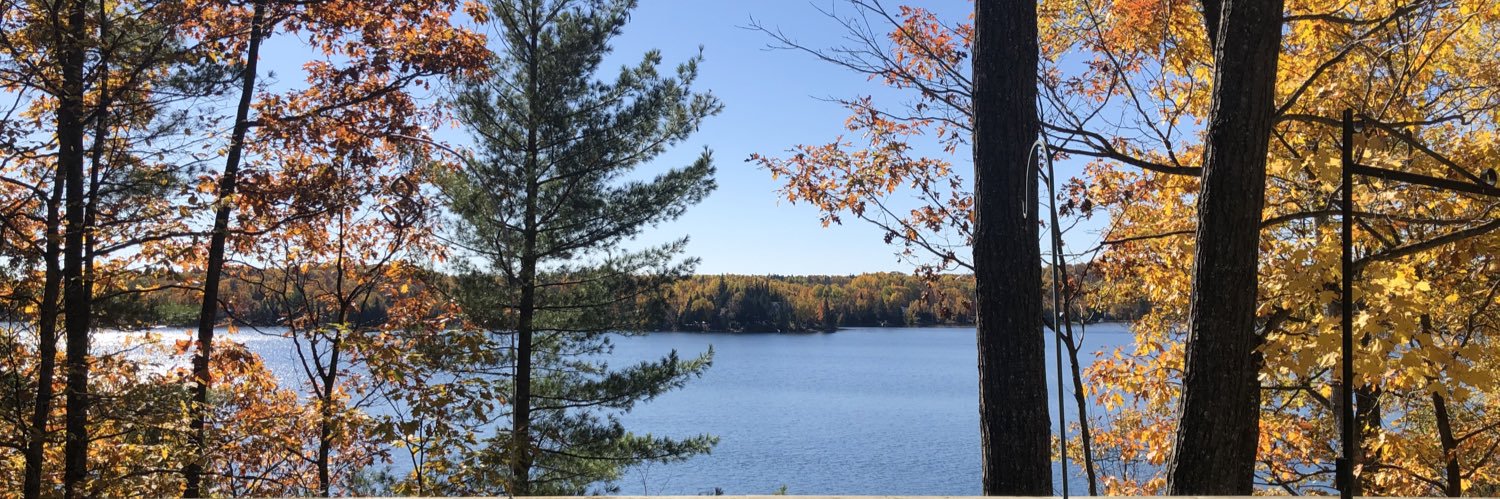 Sharon Ferguson banner