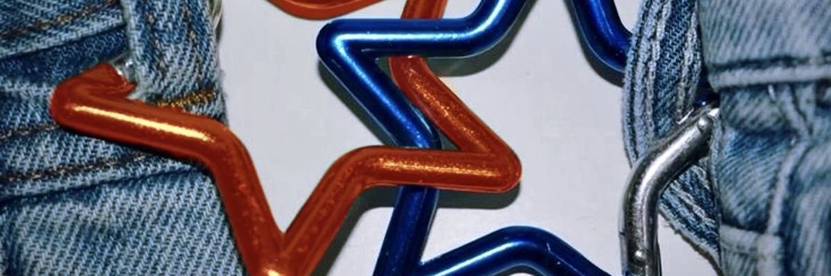 x - rose 🍉 banner