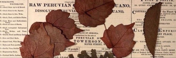 ClumsyKat__'s profile banner image
