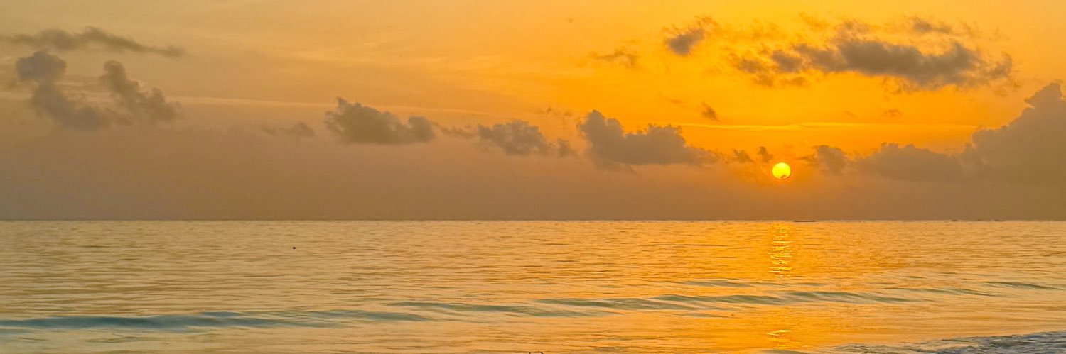 _brozario's profile banner image