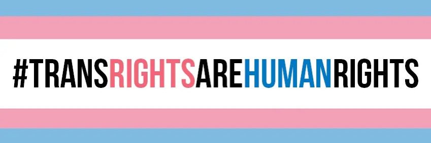 Dominic Stevenson 💙 banner