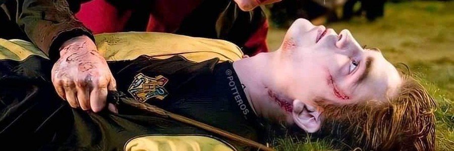 Cedric Diggory banner